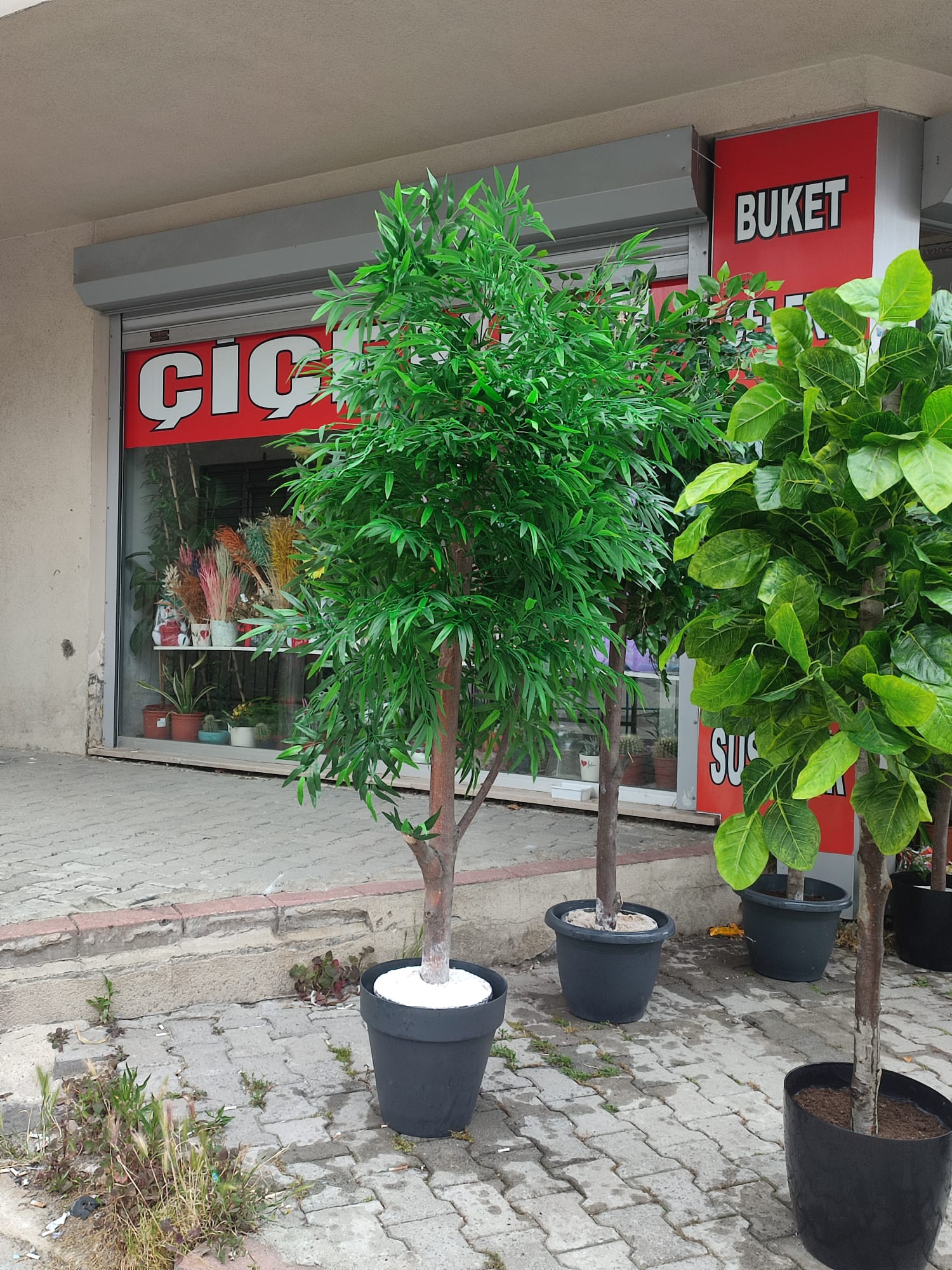 YAPAY bambu a�ac�