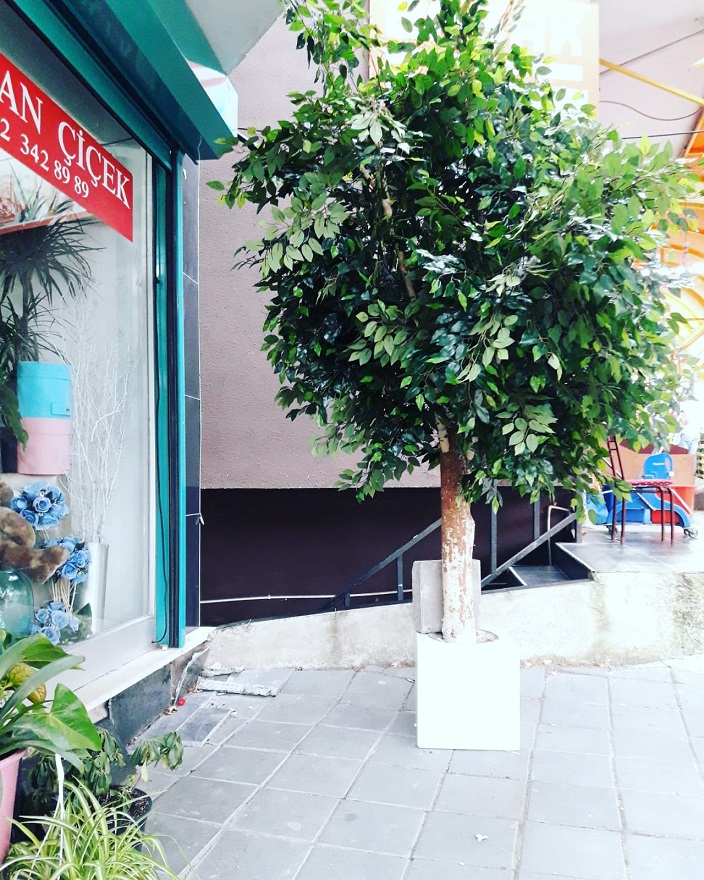 Dev Yapay A�a� 3 Metre